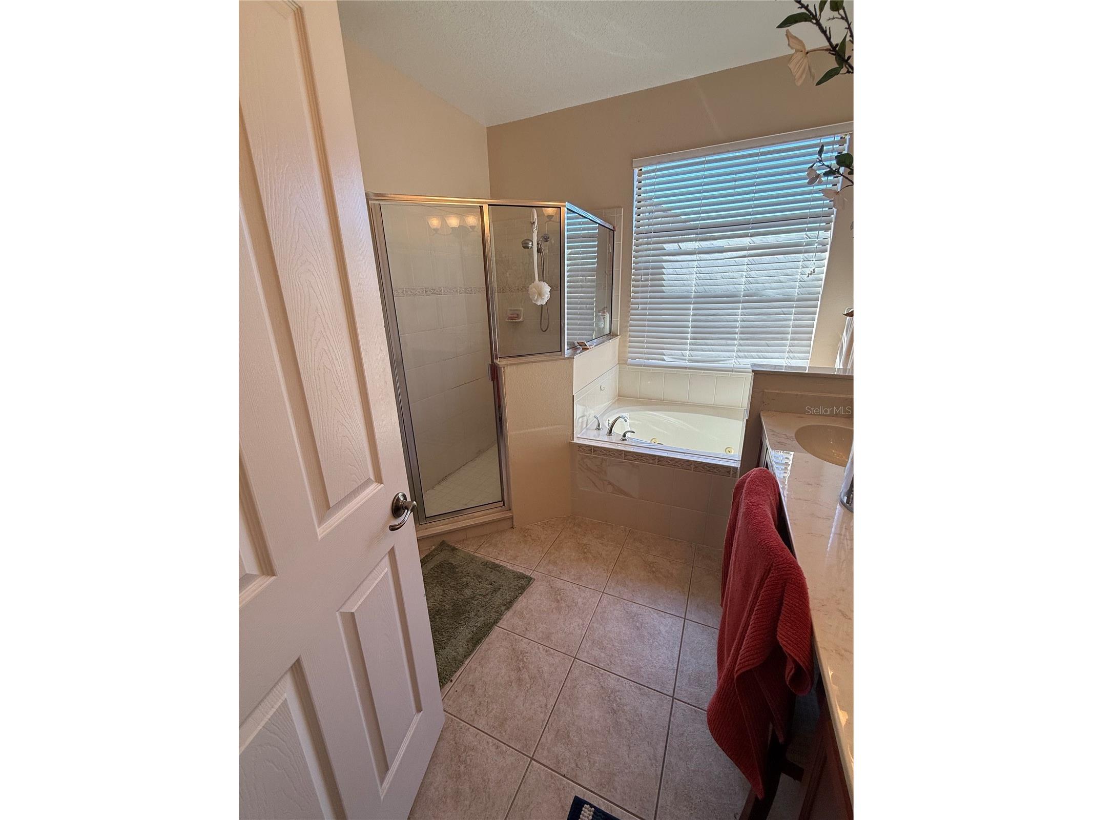 3101 Swingle Drive Kissimmee FL 34746 R4910600 image37