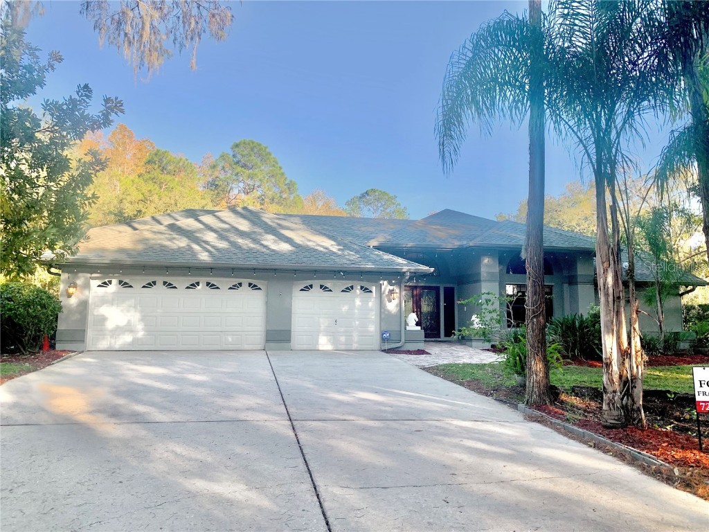 3101 Valemoor Drive Palm Harbor FL 34685 U8221664 image1