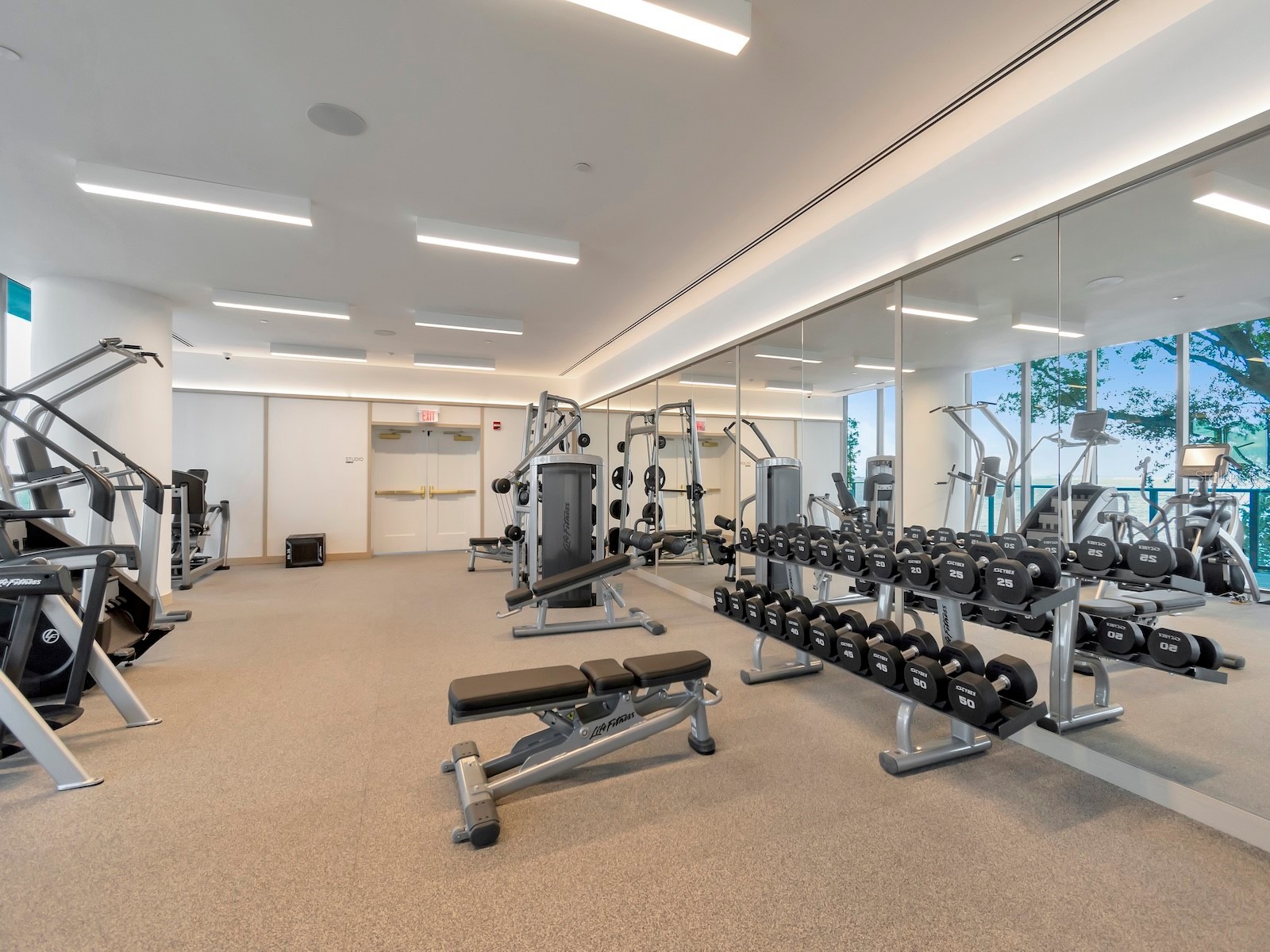 3101 W Bayshore Boulevard #402 Tampa FL 33629 TB8496332 image53