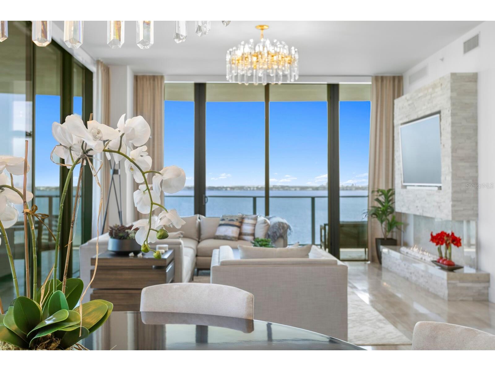 3101 W Bayshore Boulevard #801 Tampa FL 33629 - TAMPA BAY HILLSBOROUGH BAY TB8461399 image8