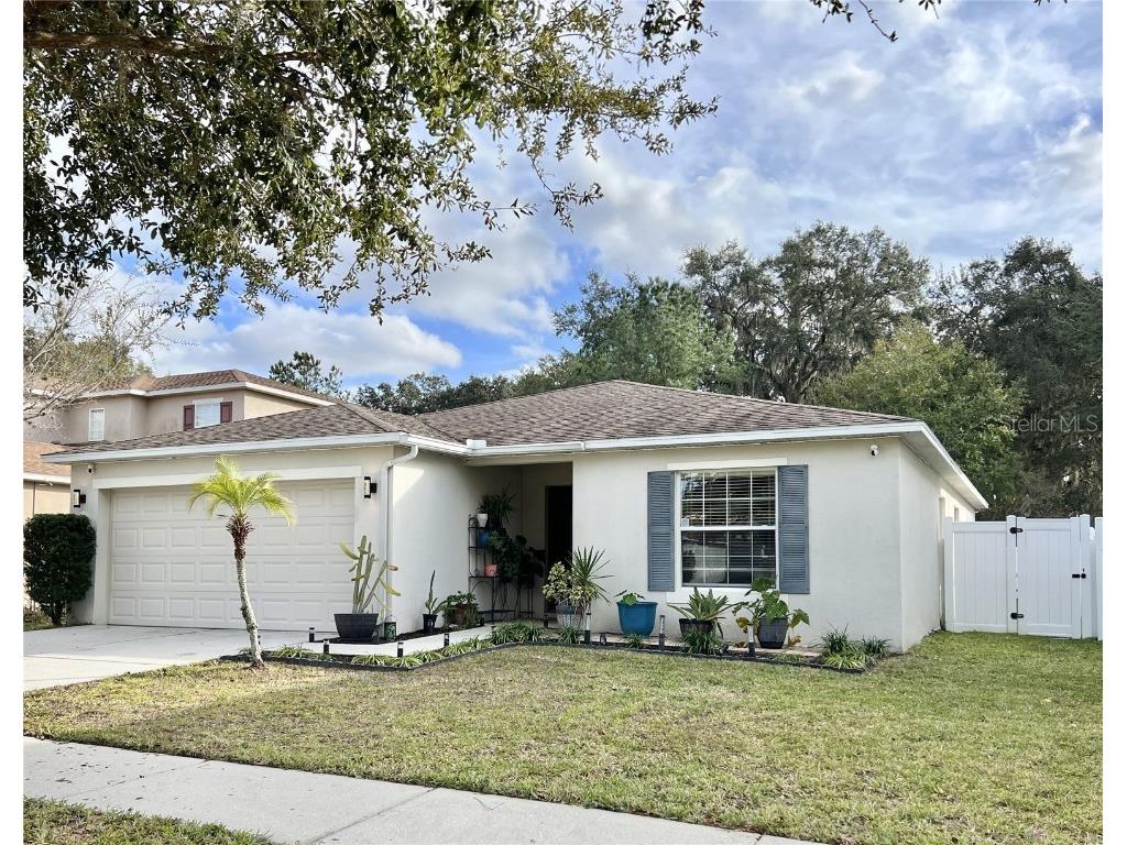 31010 Mandolin Cay Ave Wesley Chapel FL 33543 T3496461 image1