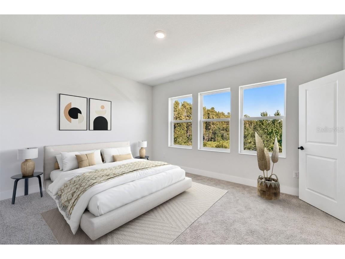 31012 Pendleton Landing Circle Wesley Chapel FL 33545 TB8410933 image19