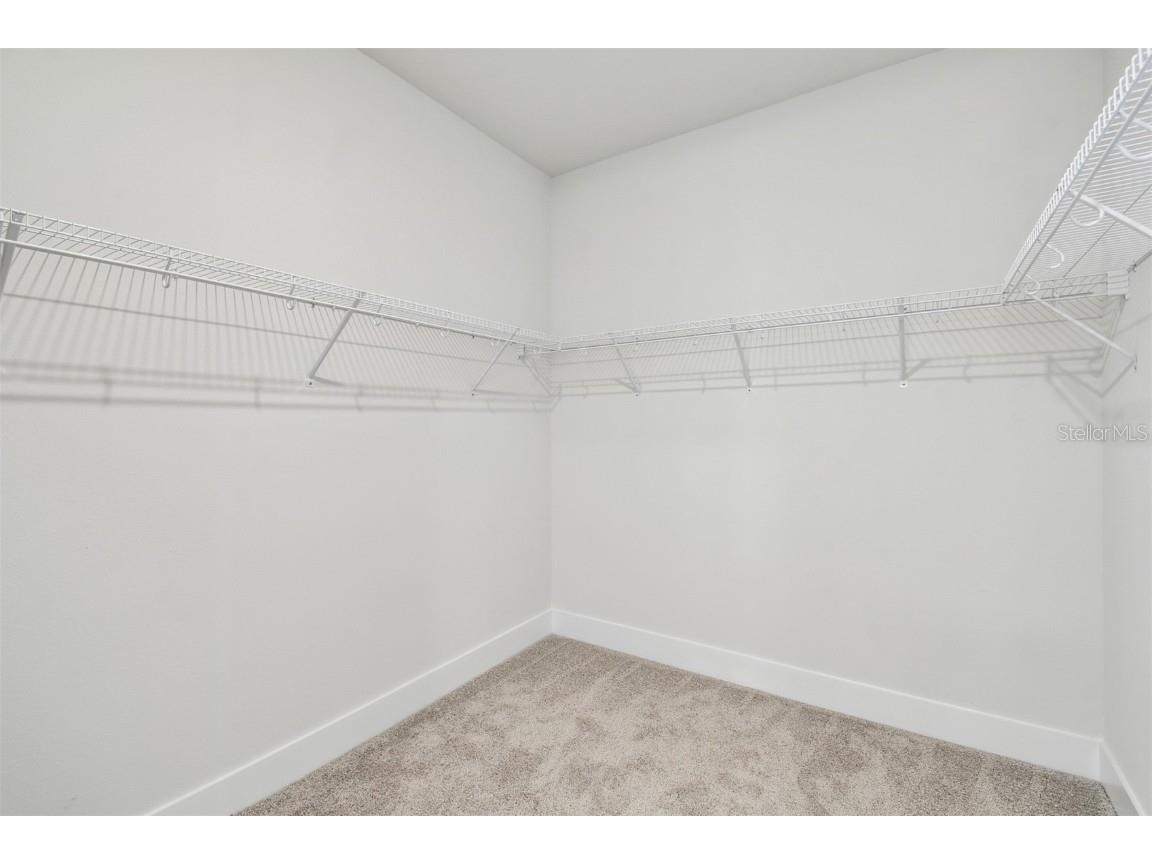 31012 Pendleton Landing Circle Wesley Chapel FL 33545 TB8410933 image26