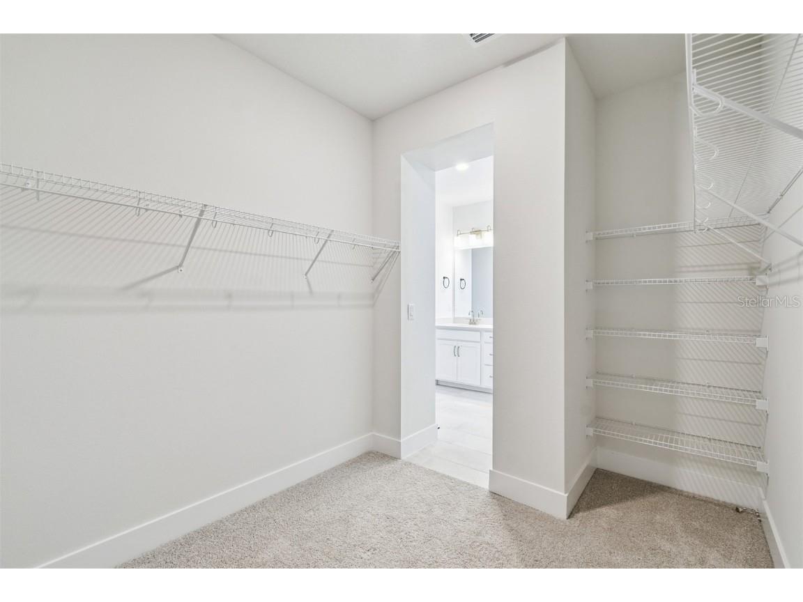 31012 Pendleton Landing Circle Wesley Chapel FL 33545 TB8410933 image27