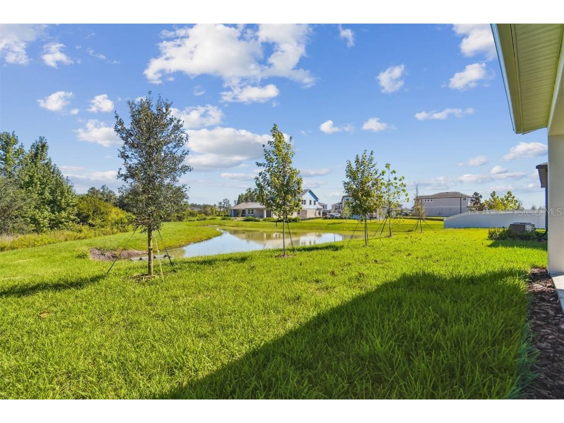 31012 Pendleton Landing Circle Wesley Chapel FL 33545 TB8410933 image46