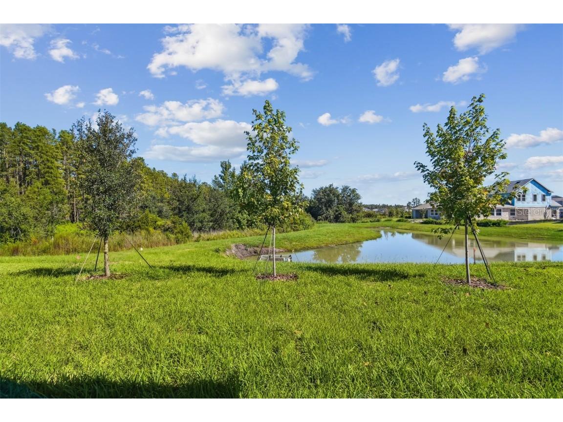 31012 Pendleton Landing Circle Wesley Chapel FL 33545 TB8410933 image47