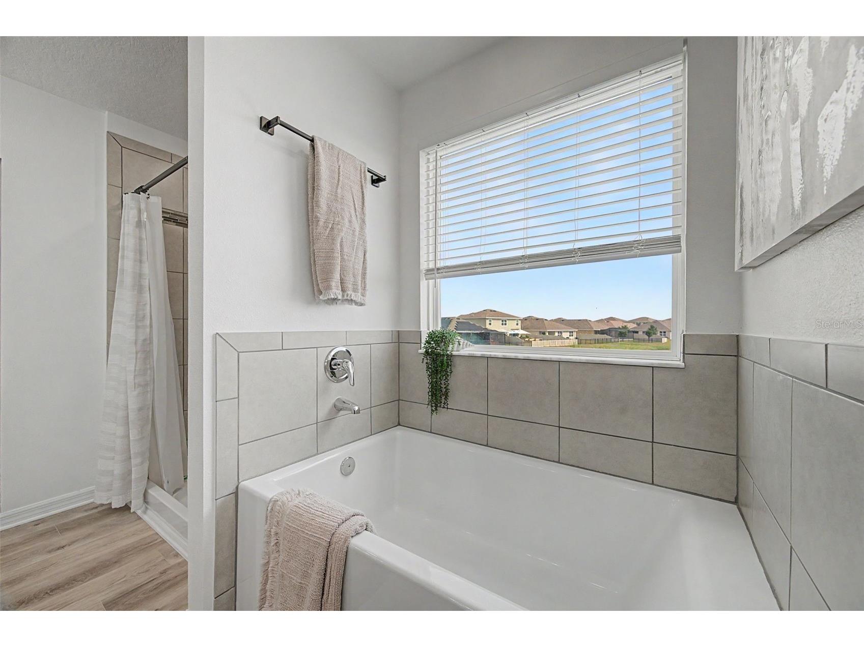 31015 Parrot Reef Court Wesley Chapel FL 33545 TB8503979 image40