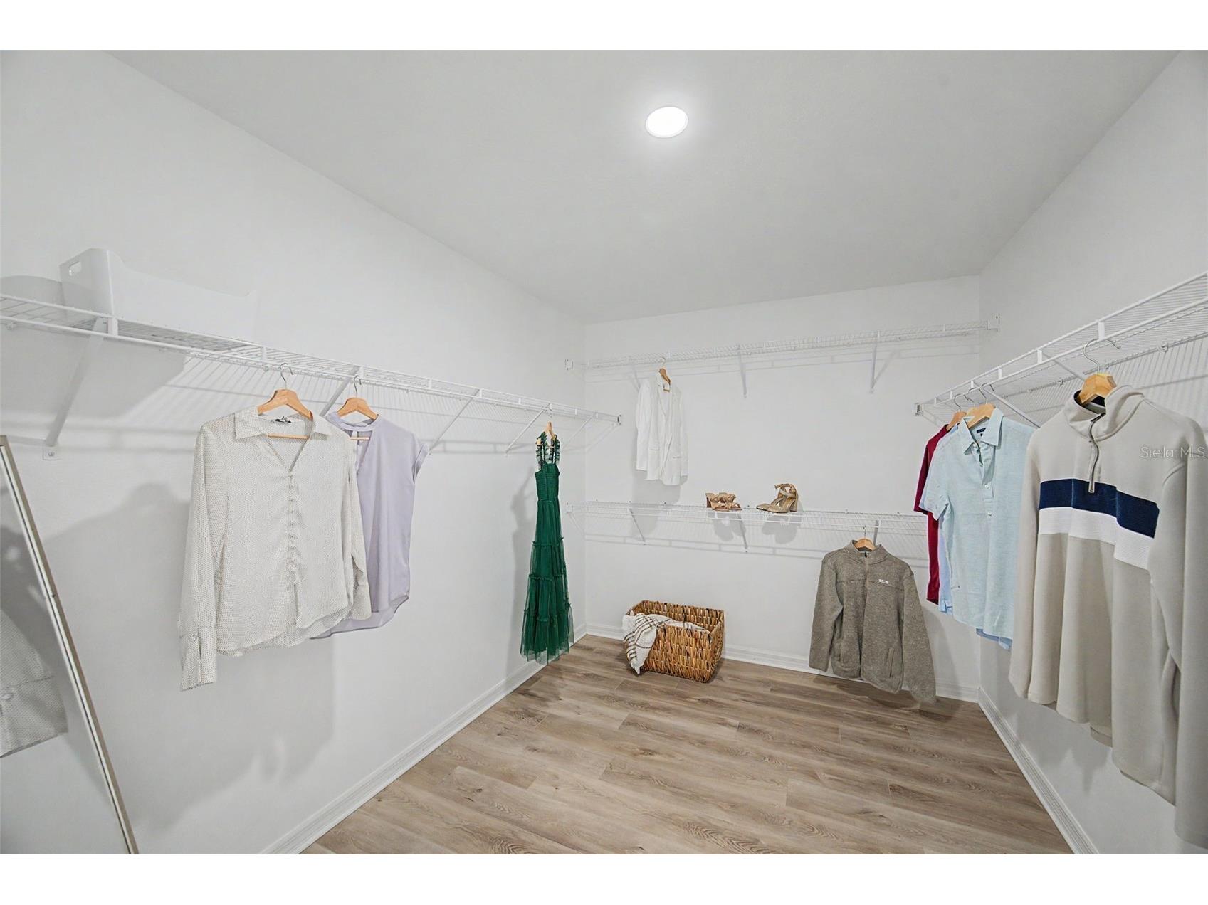 31015 Parrot Reef Court Wesley Chapel FL 33545 TB8503979 image41