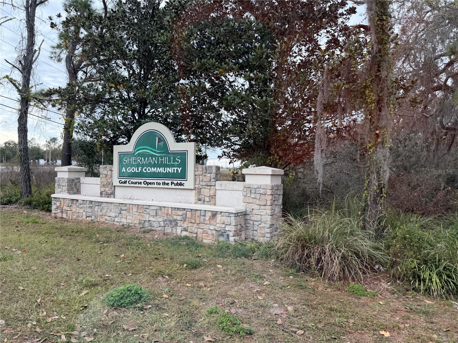 31018 Satinleaf Run Brooksville FL 34602 TB8415499 image21