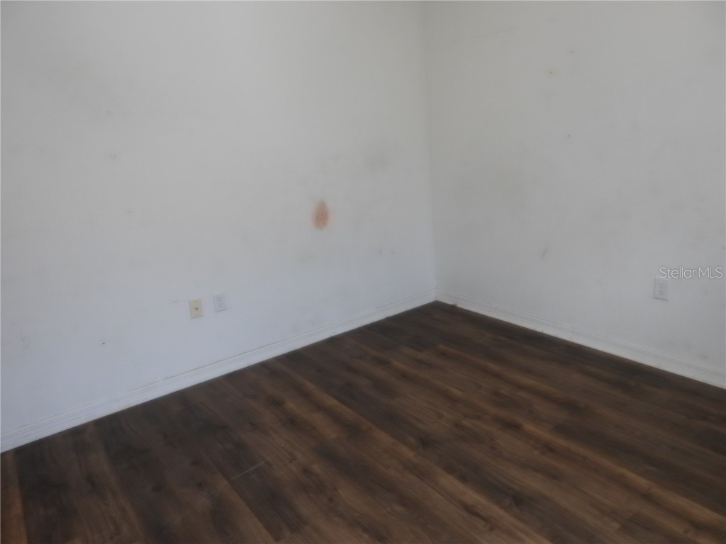 31018 Satinleaf Run Brooksville FL 34602 TB8415499 image8