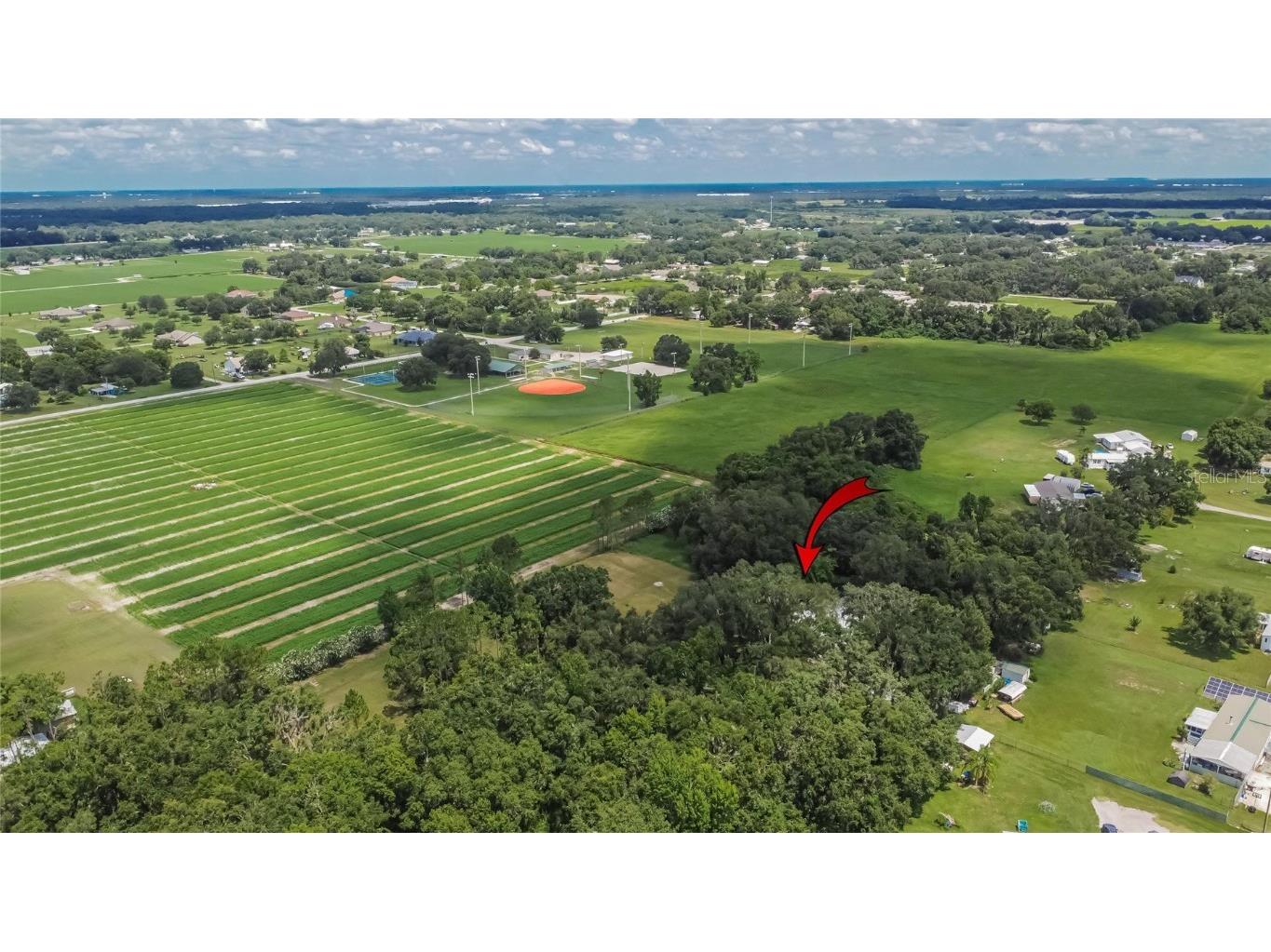 3102 E Trapnell Road Plant City FL 33566 TB8403132 image52