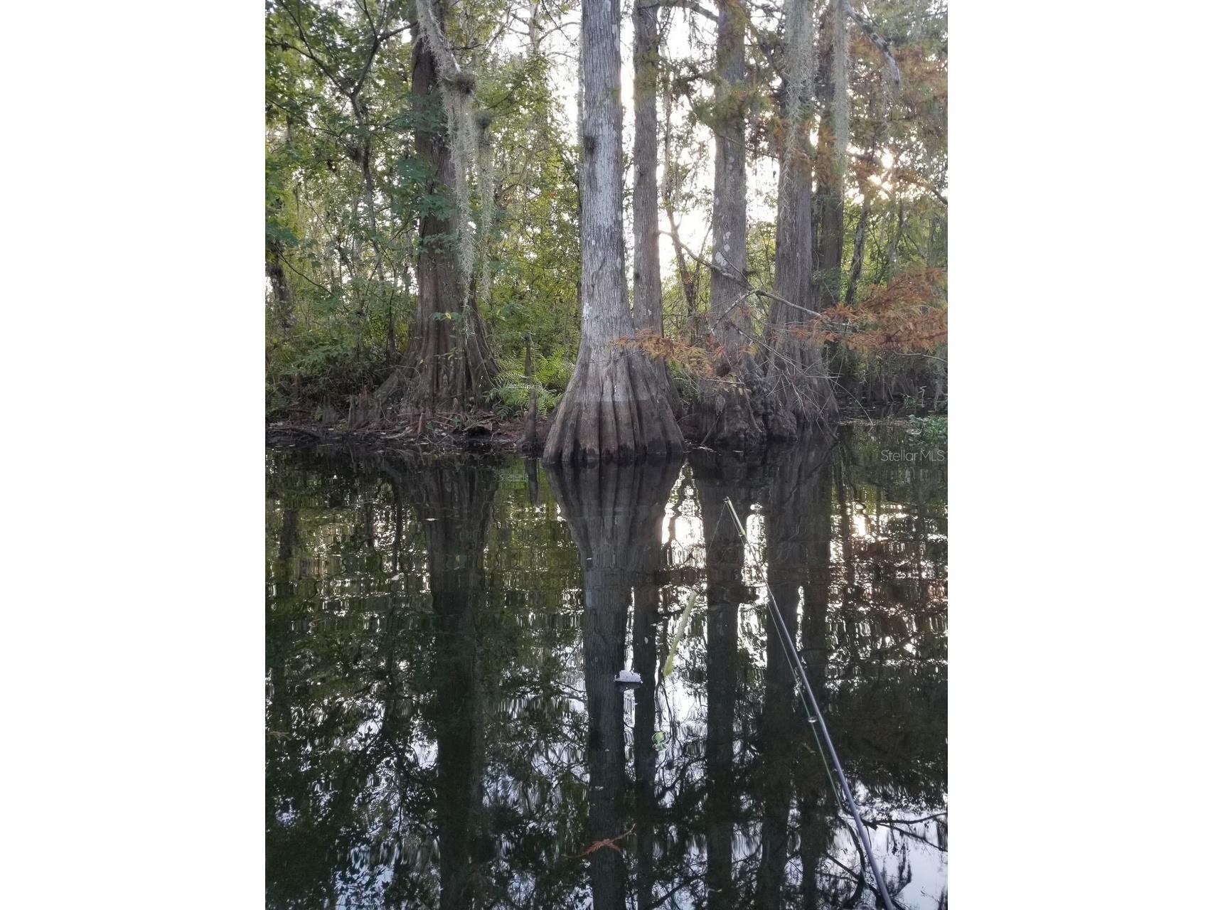 3102 Heartleaf Place Winter Park FL 32792 O6323967 image51