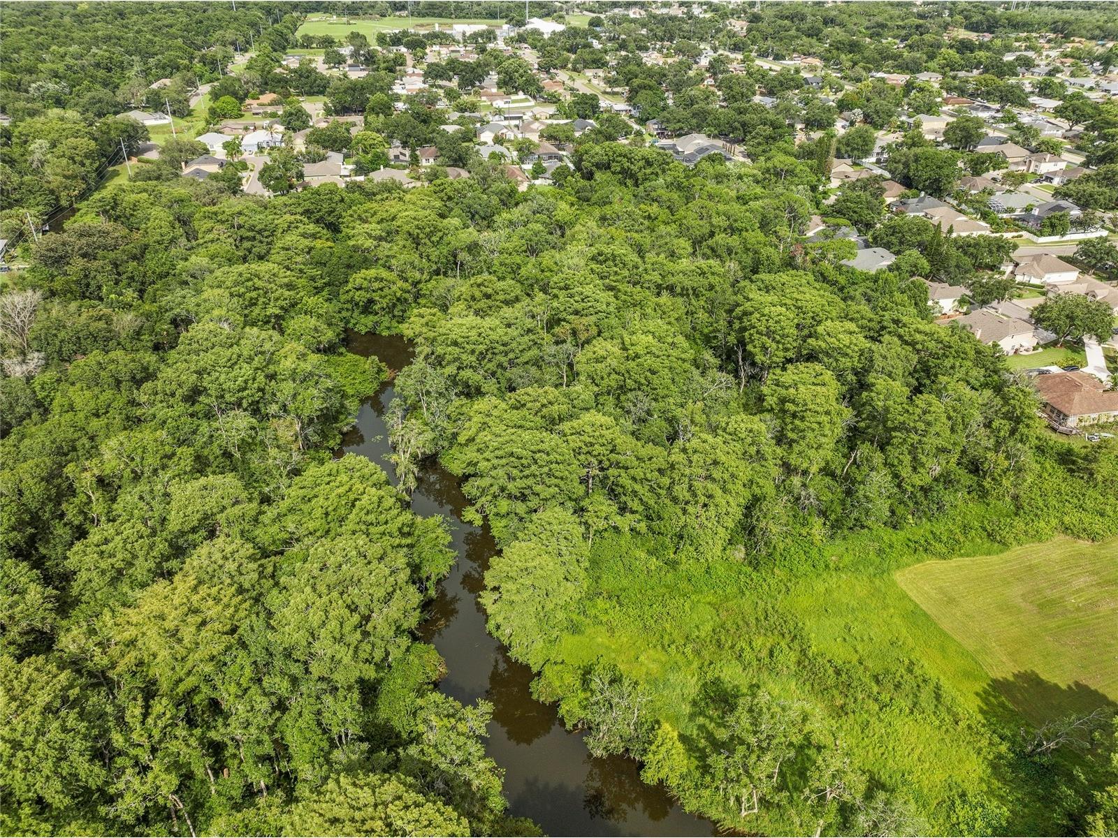 3102 Heartleaf Place Winter Park FL 32792 O6323967 image53