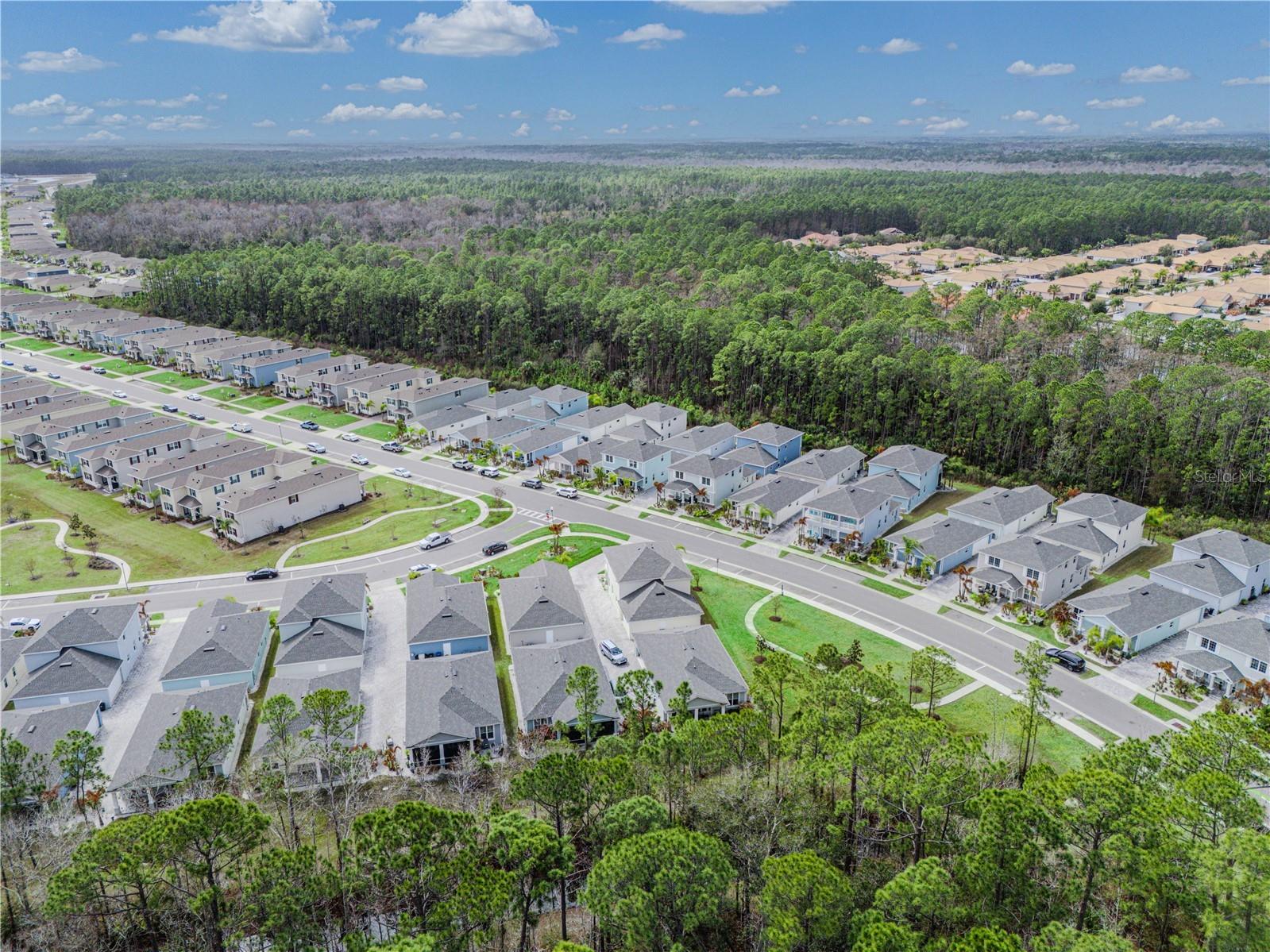 3102 Meleto Boulevard New Smyrna Beach FL 32168 FC316181 image54