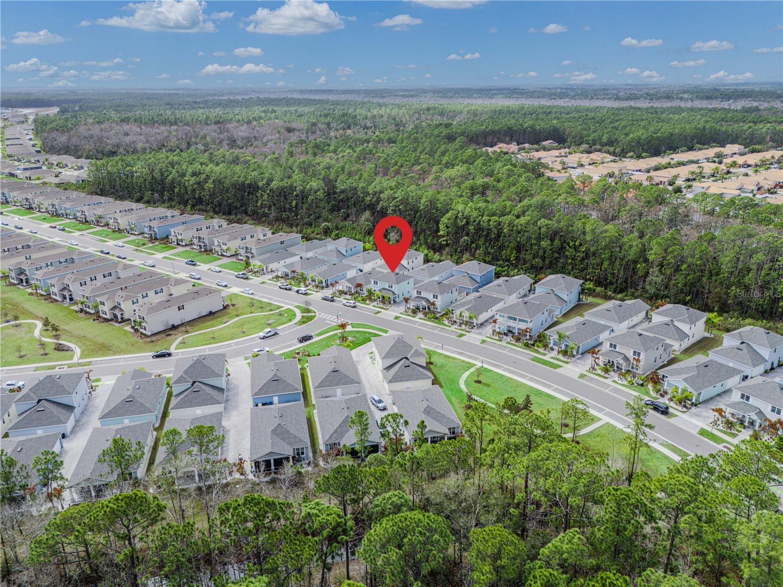 3102 Meleto Boulevard New Smyrna Beach FL 32168 FC316181 image55