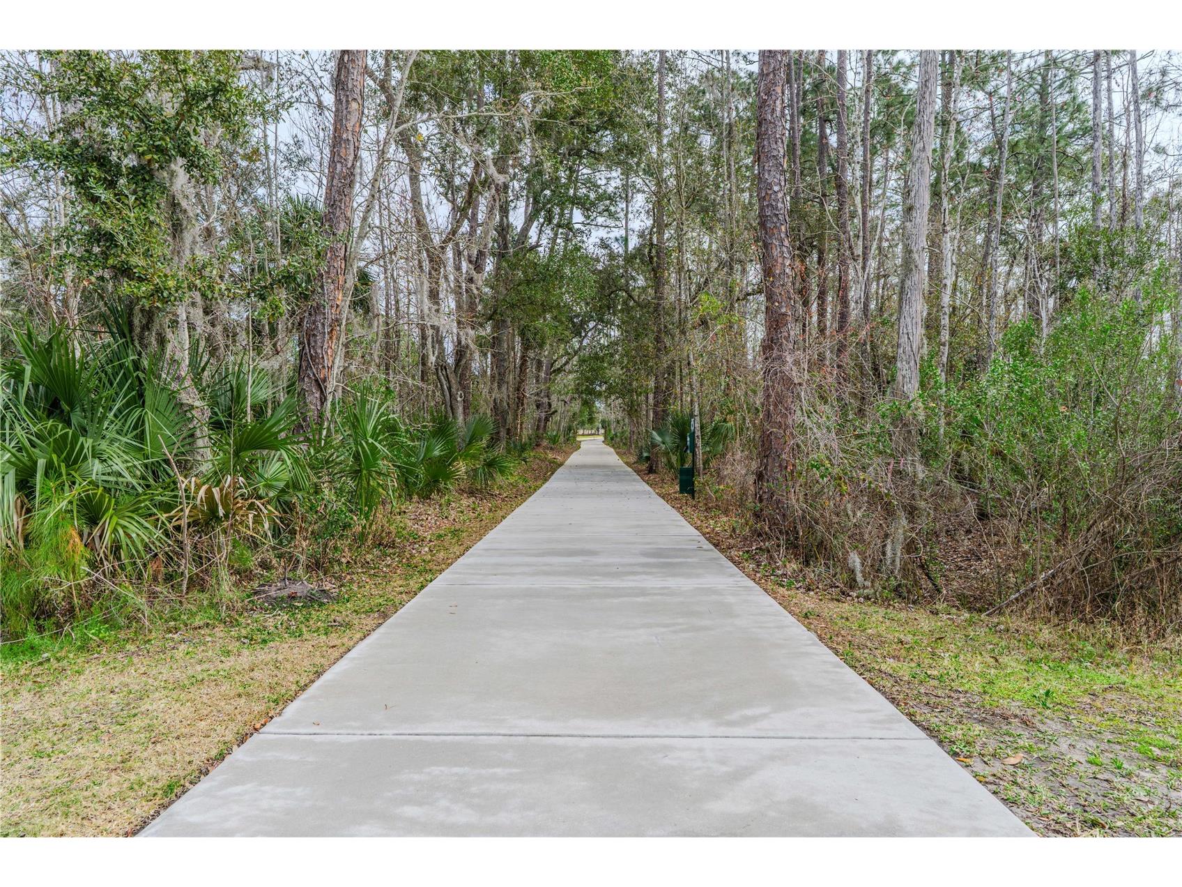 3102 Meleto Boulevard New Smyrna Beach FL 32168 FC316181 image74