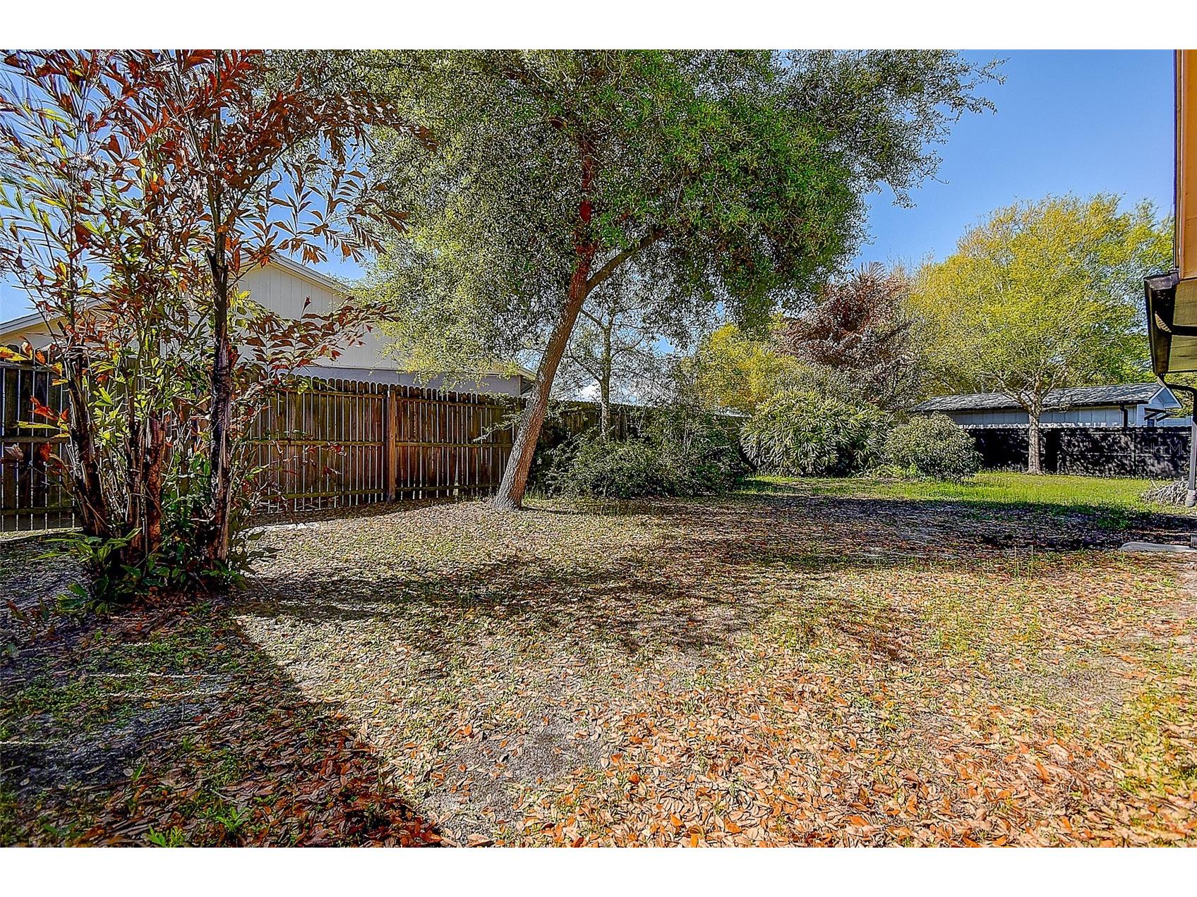 3102 Old Spring Place Tampa FL 33618 TB8480604 image21