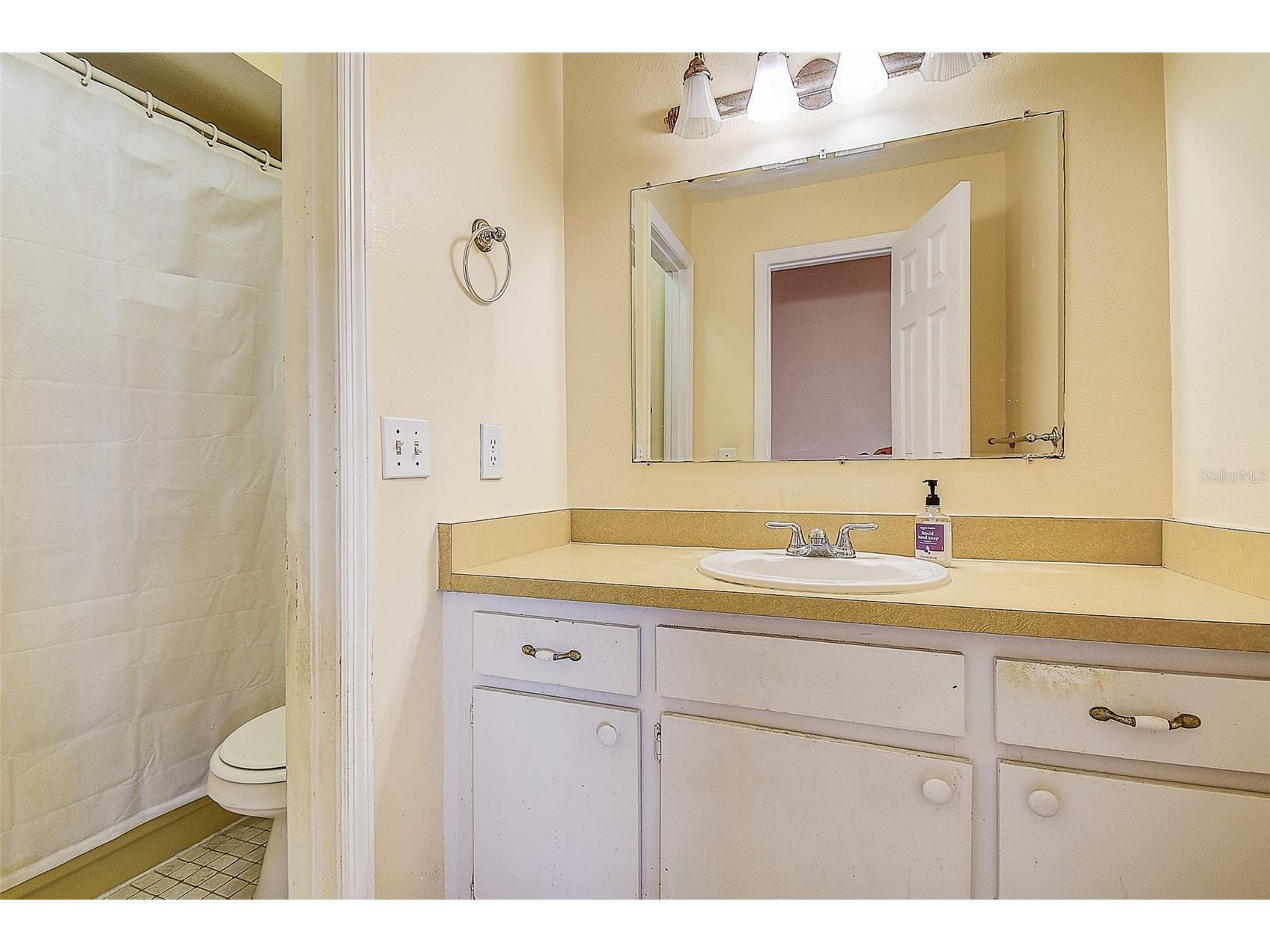 3102 Old Spring Place Tampa FL 33618 TB8480604 image28