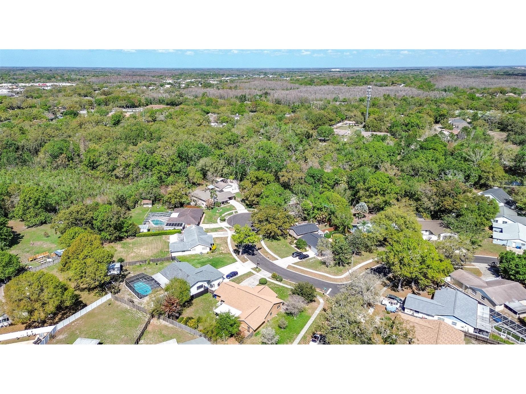 3102 Old Spring Place Tampa FL 33618 TB8480604 image40