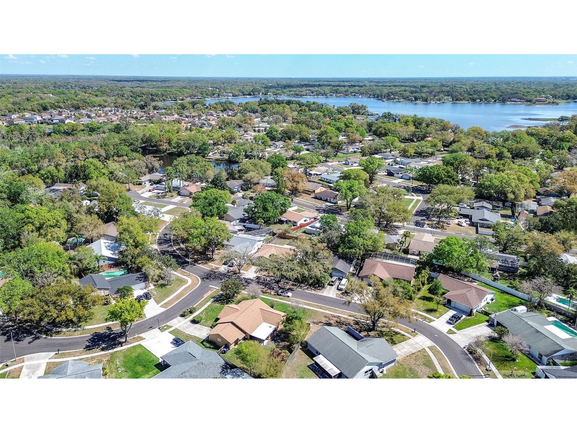 3102 Old Spring Place Tampa FL 33618 TB8480604 image44