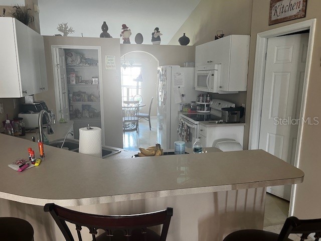 3102 SW 15th Avenue Cape Coral FL 33914 A4662918 image5