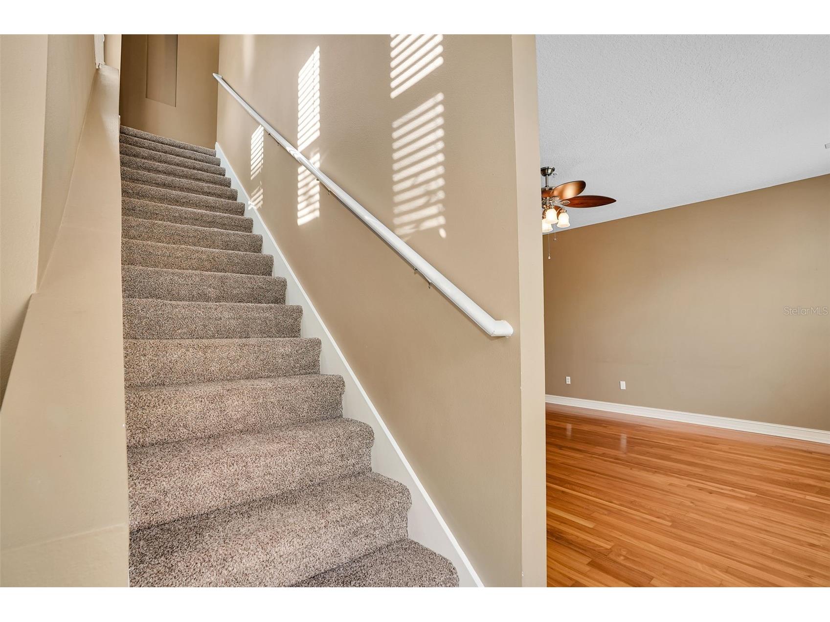 3102 Toscana Circle Tampa FL 33611 TB8506459 image21