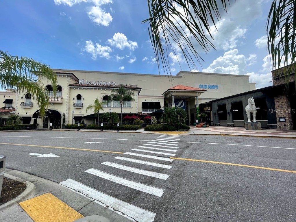 3102 W Horatio Street #12 Tampa FL 33609 TB8450765 image55