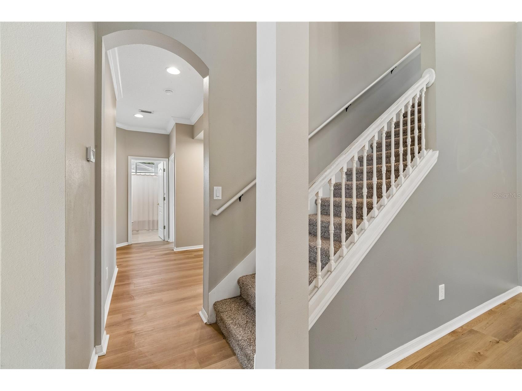 3102 White Pheasant Place Valrico FL 33596 TB8522769 image11