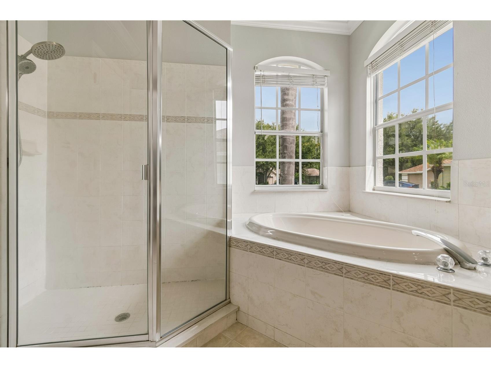 3102 White Pheasant Place Valrico FL 33596 TB8522769 image36