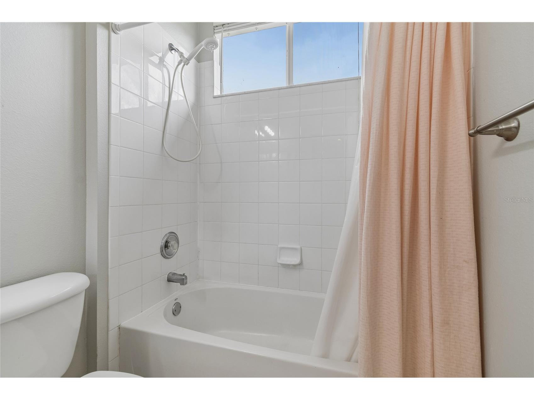 3102 White Pheasant Place Valrico FL 33596 TB8522769 image44