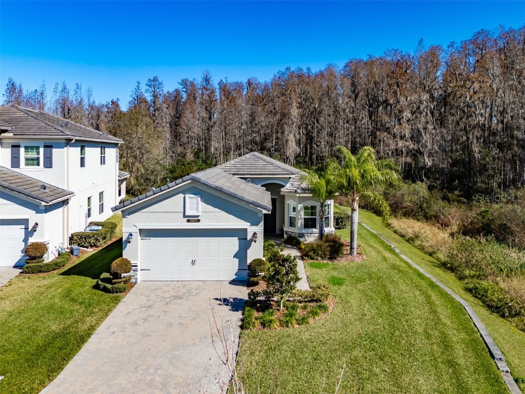 31022 Lindentree Drive Wesley Chapel FL 33543 T3503157 image1