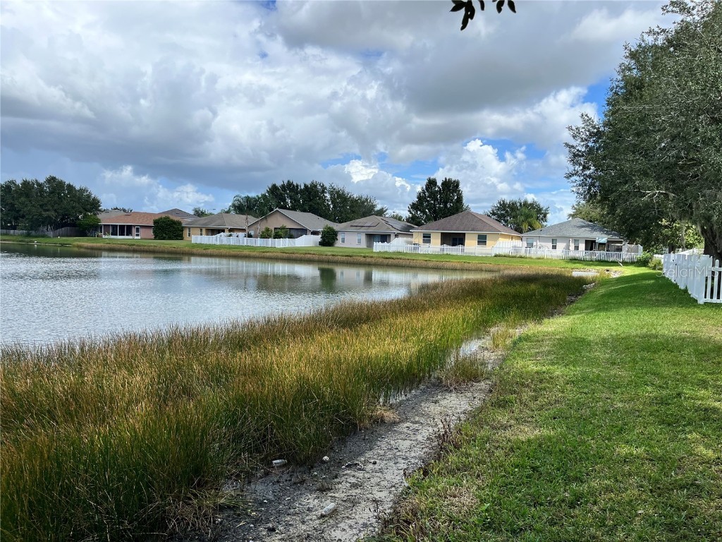 31029 Baclan Drive Wesley Chapel FL 33545 TB8435187 image12