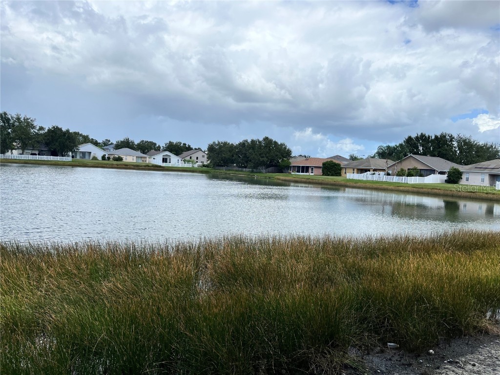 31029 Baclan Drive Wesley Chapel FL 33545 TB8435187 image13