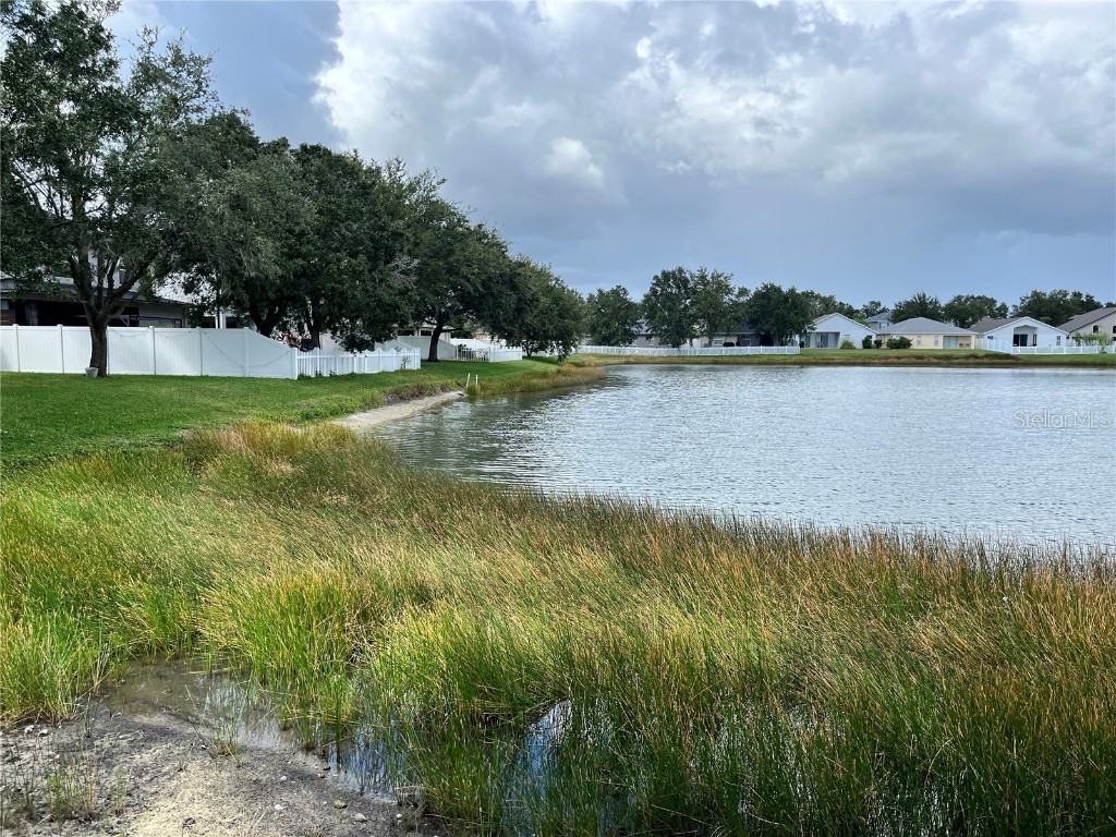 31029 Baclan Drive Wesley Chapel FL 33545 TB8435187 image14