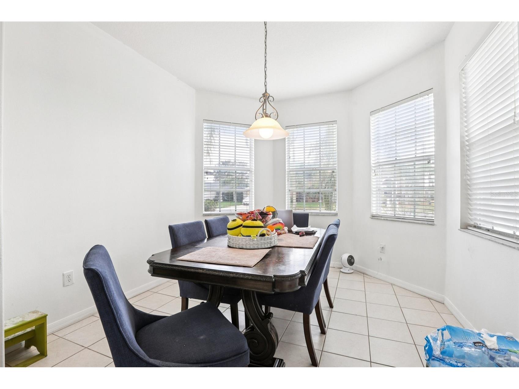 31029 Baclan Drive Wesley Chapel FL 33545 TB8435187 image17