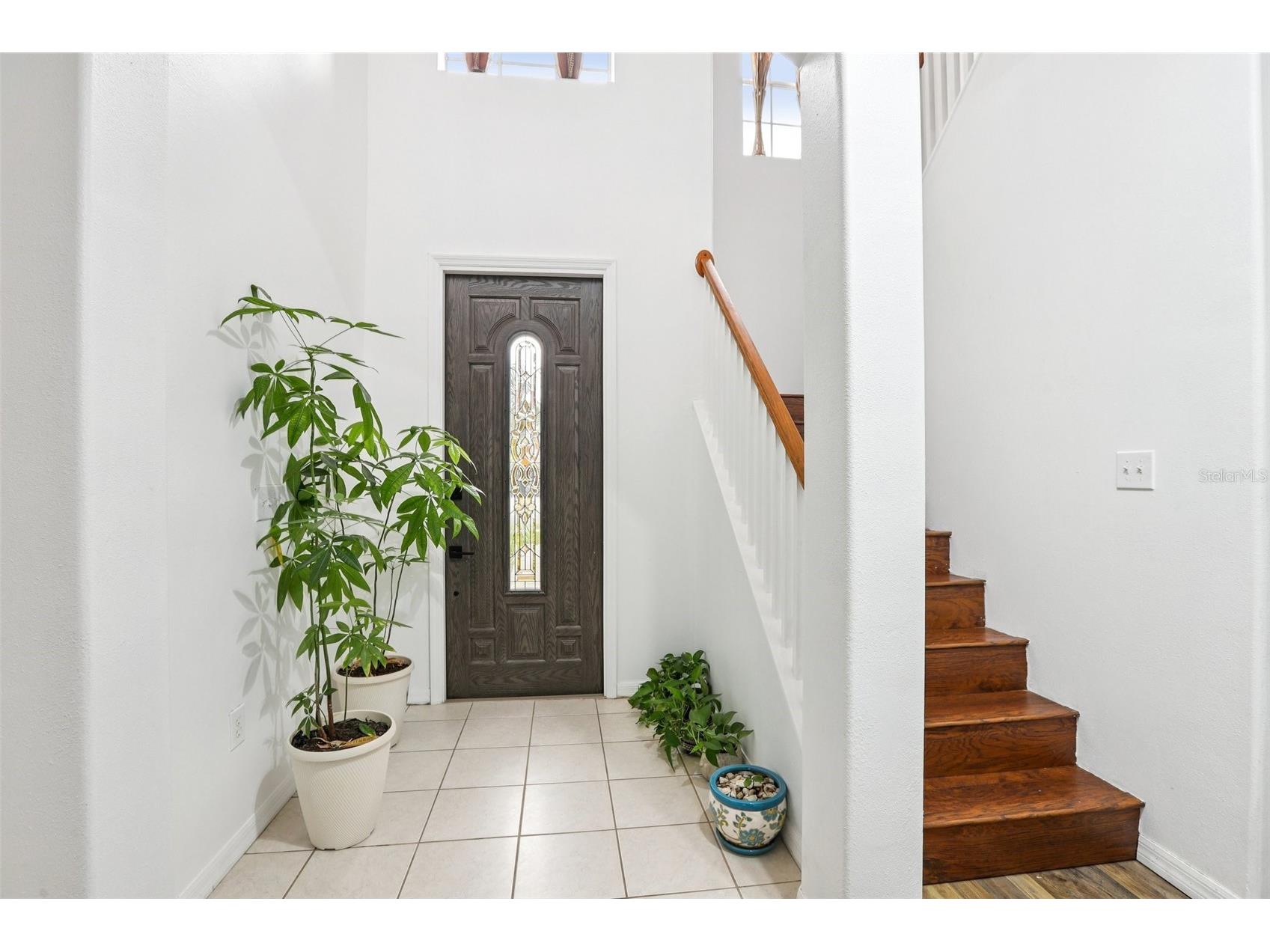 31029 Baclan Drive Wesley Chapel FL 33545 TB8435187 image25