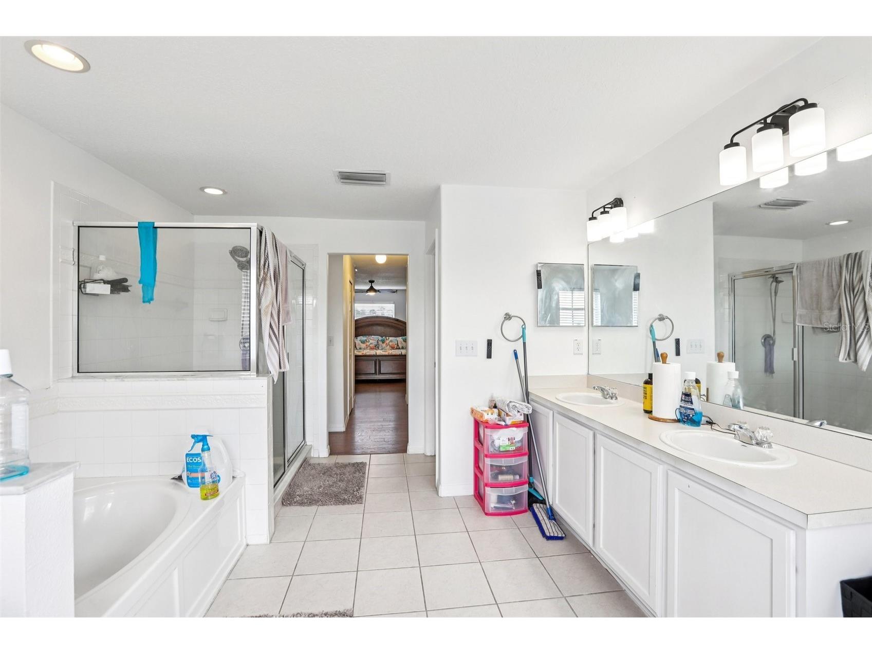 31029 Baclan Drive Wesley Chapel FL 33545 TB8435187 image31