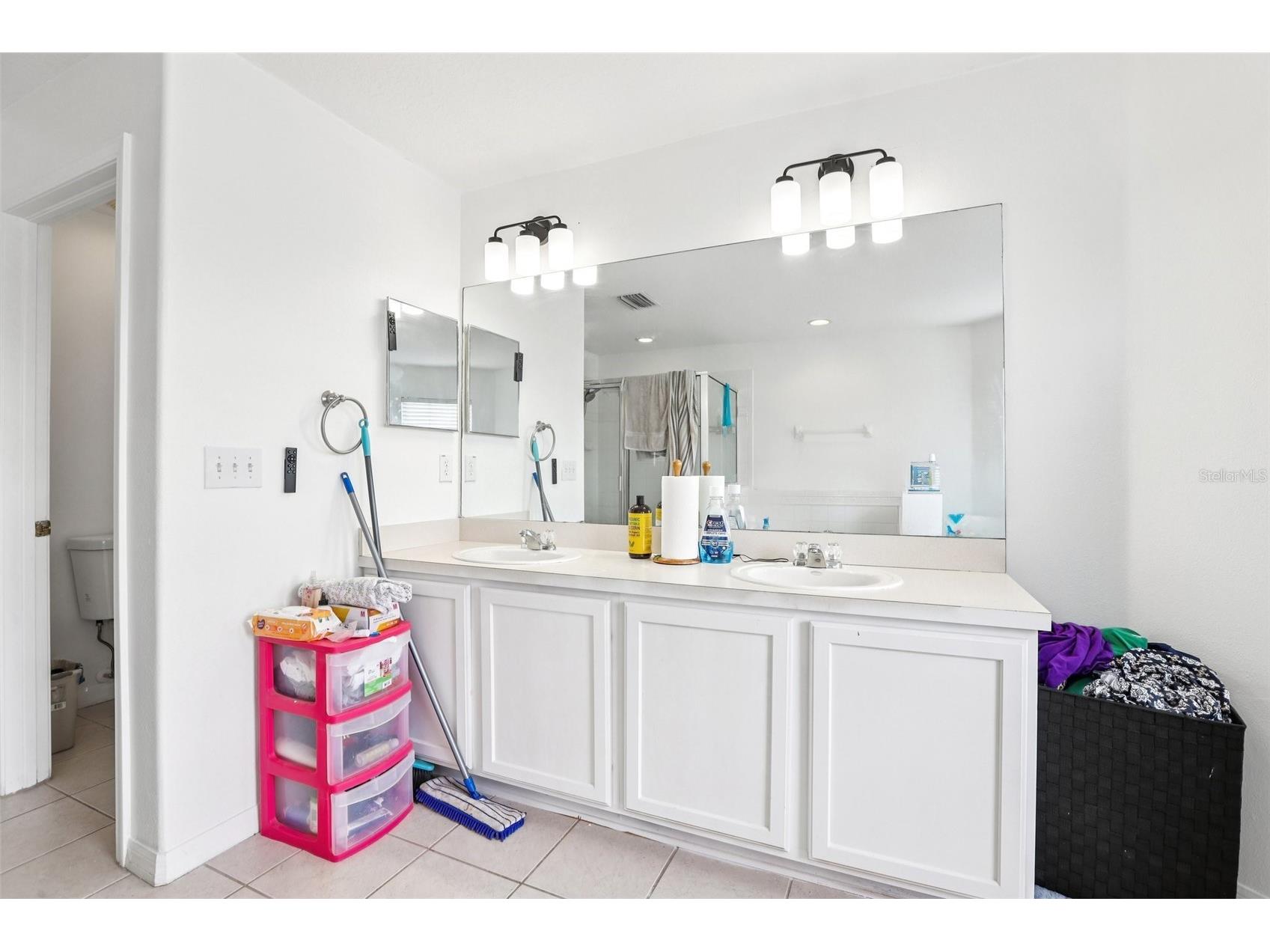 31029 Baclan Drive Wesley Chapel FL 33545 TB8435187 image32