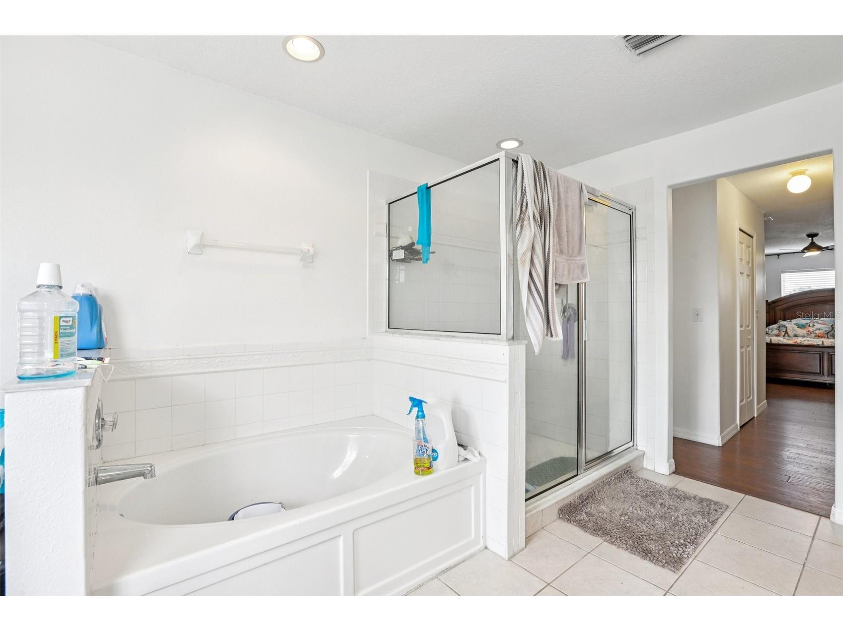 31029 Baclan Drive Wesley Chapel FL 33545 TB8435187 image34