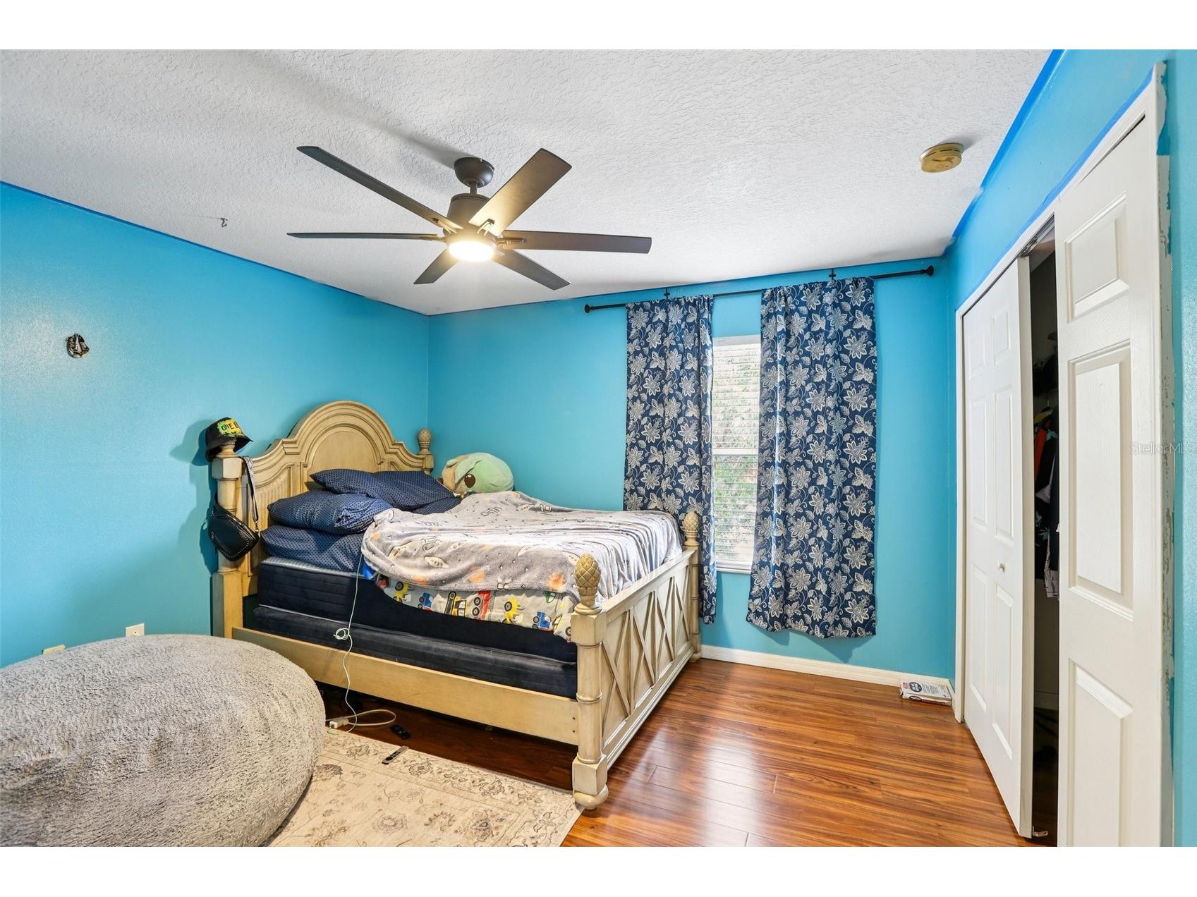 31029 Baclan Drive Wesley Chapel FL 33545 TB8435187 image39