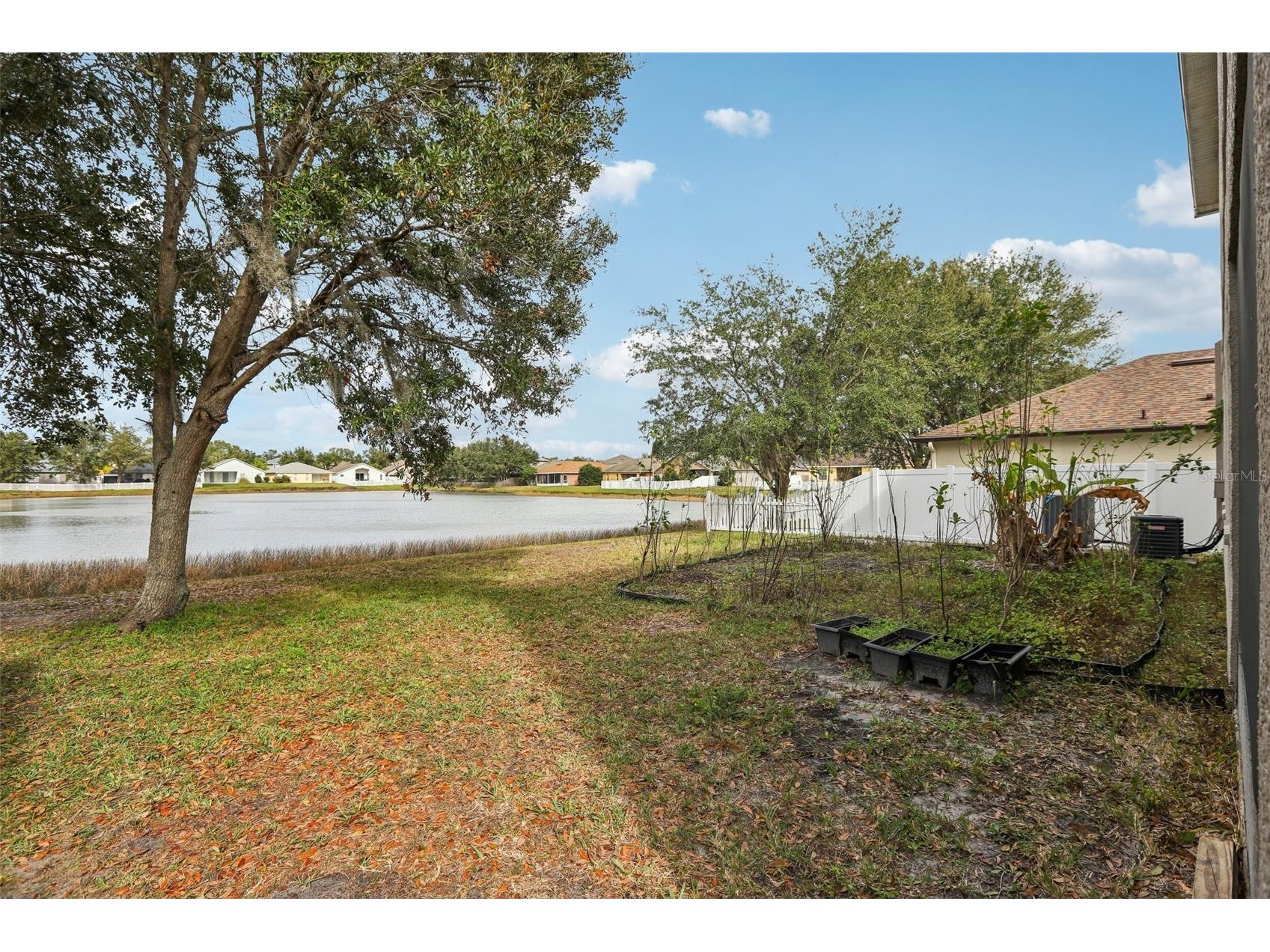 31029 Baclan Drive Wesley Chapel FL 33545 TB8435187 image51