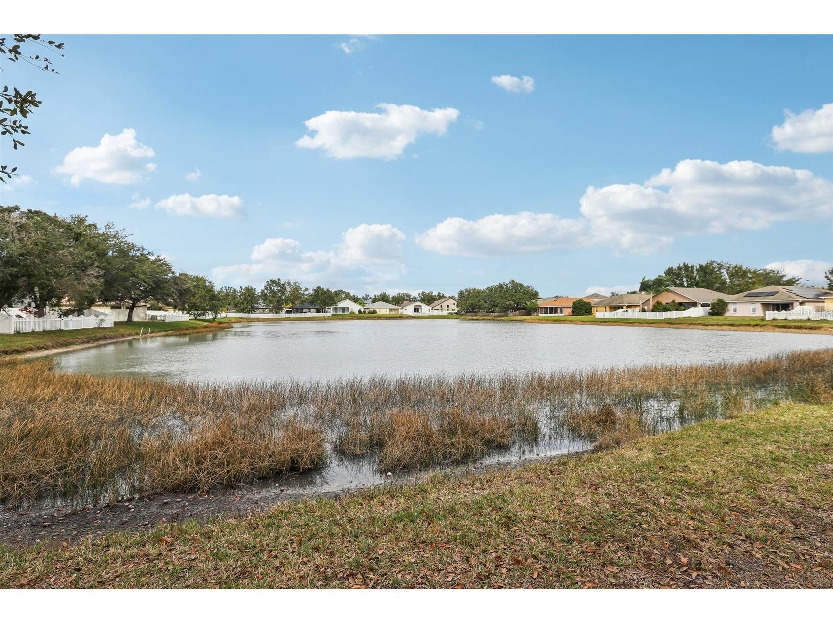 31029 Baclan Drive Wesley Chapel FL 33545 TB8435187 image52