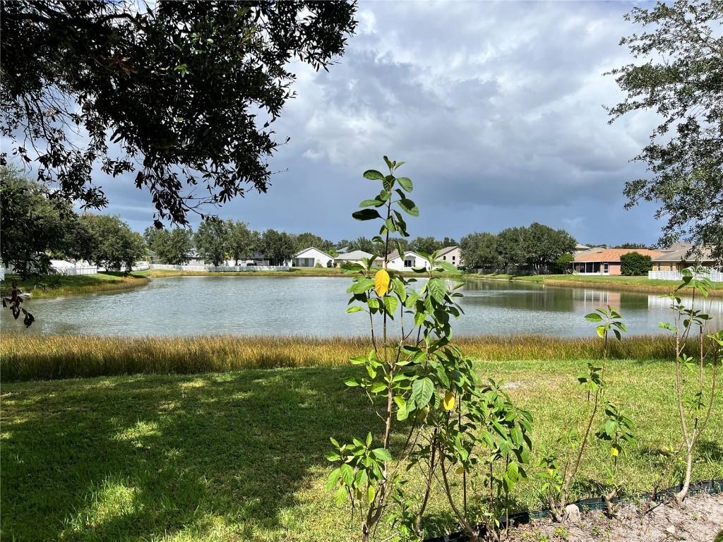 31029 Baclan Drive Wesley Chapel FL 33545 TB8435187 image8