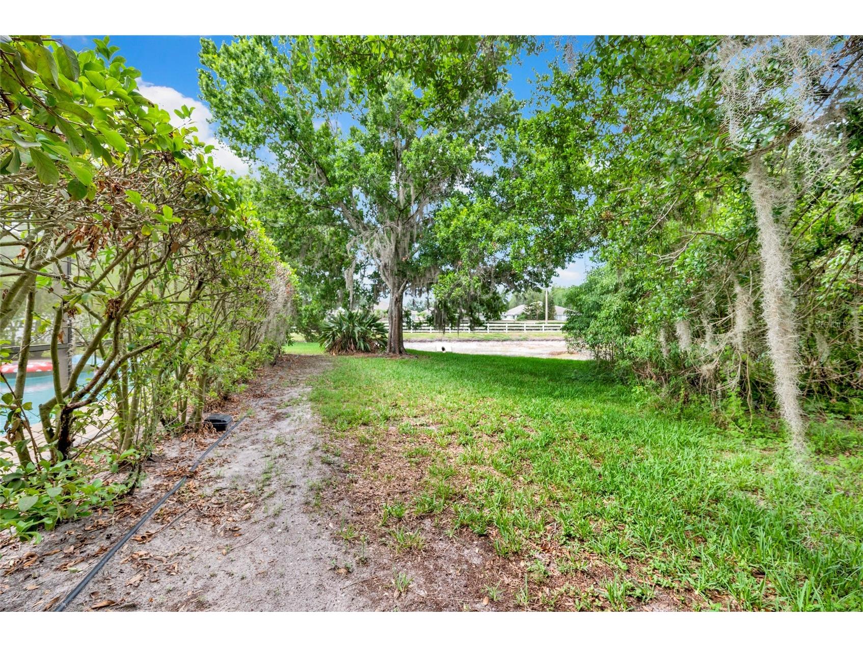 3103 Ashmonte Drive Land O Lakes FL 34638 TB8512512 image65