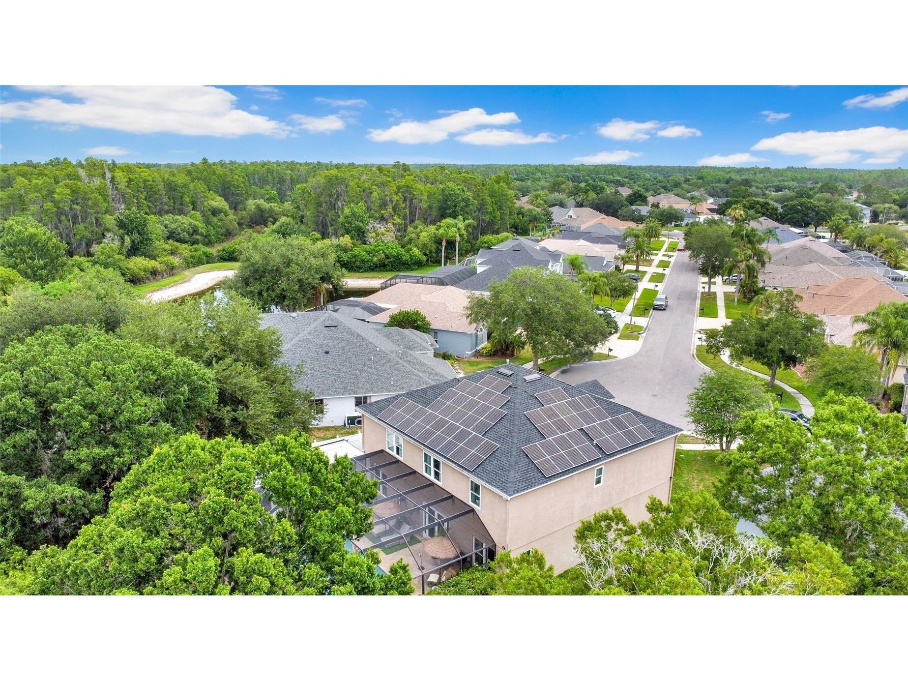 3103 Ashmonte Drive Land O Lakes FL 34638 TB8512512 image68