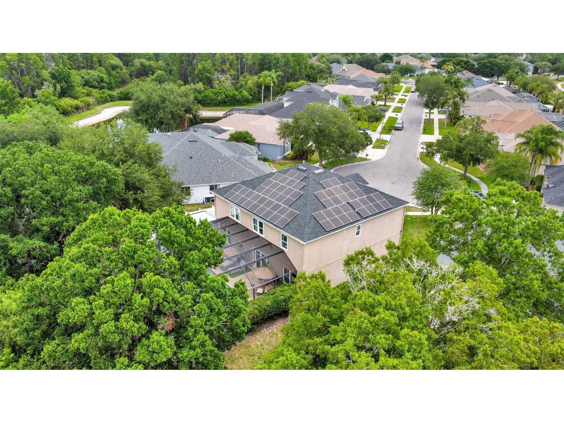 3103 Ashmonte Drive Land O Lakes FL 34638 TB8512512 image69