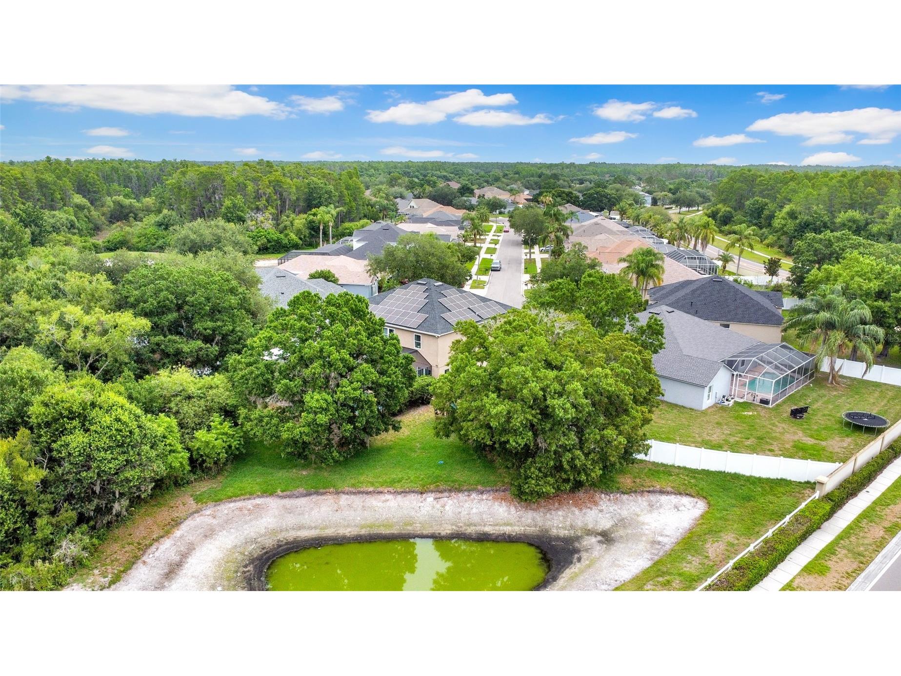 3103 Ashmonte Drive Land O Lakes FL 34638 TB8512512 image70