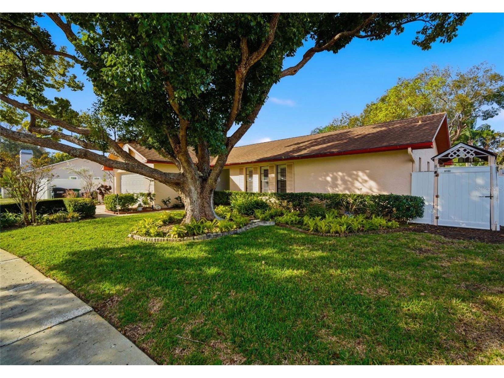 3103 Bentwood Lane Safety Harbor FL 34695 TB8462262 image2