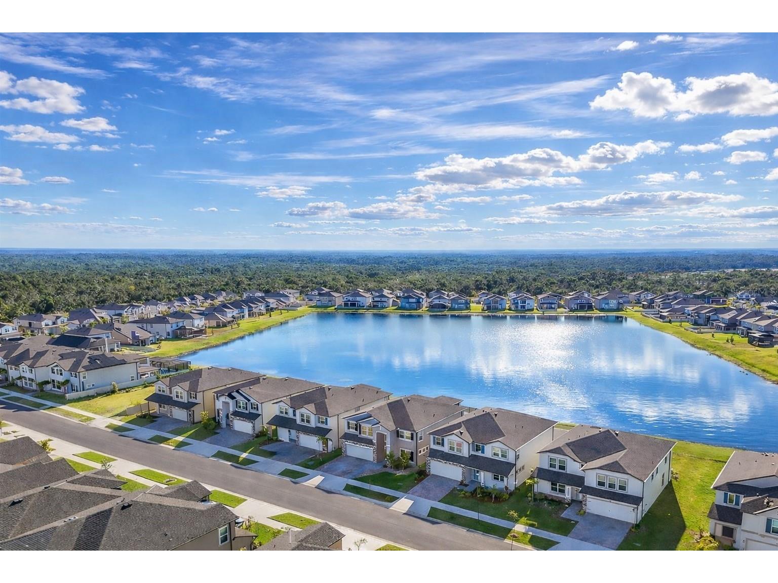 3103 Marine Grass Drive Wimauma FL 33598 TB8488004 image33