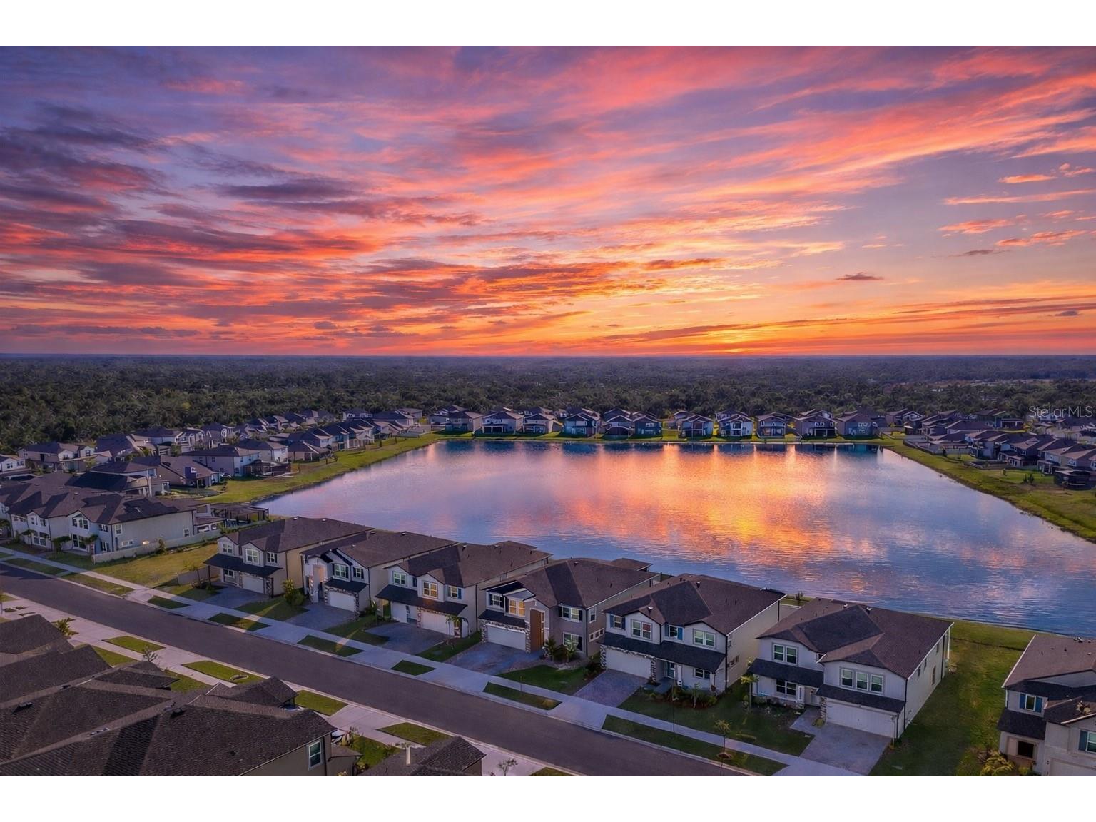 3103 Marine Grass Drive Wimauma FL 33598 TB8488004 image4